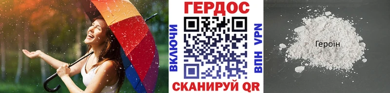 ГЕРОИН хмурый  Онега 