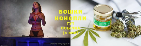 гидра Арсеньев