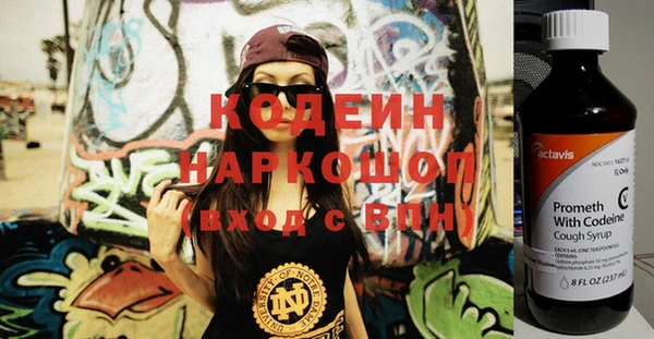 гидра Арсеньев