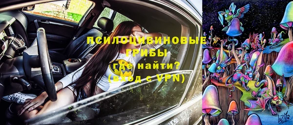 прущие грибы Армянск
