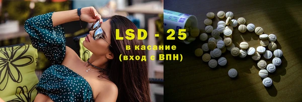 прущие грибы Армянск